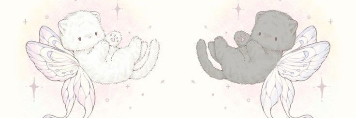 peterpanッ! 🍧 banner