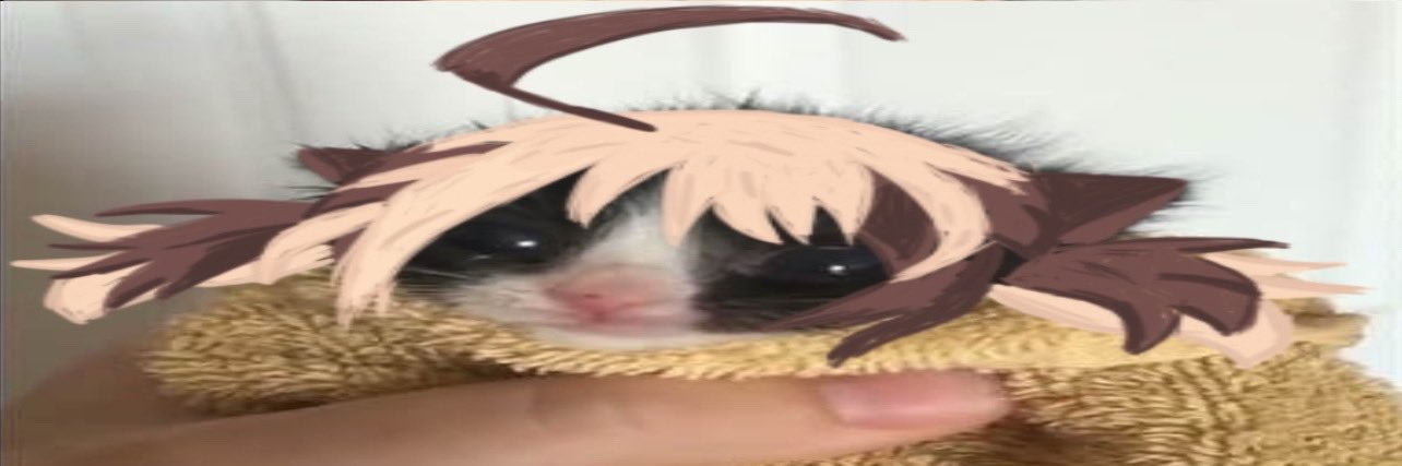 Stefander banner