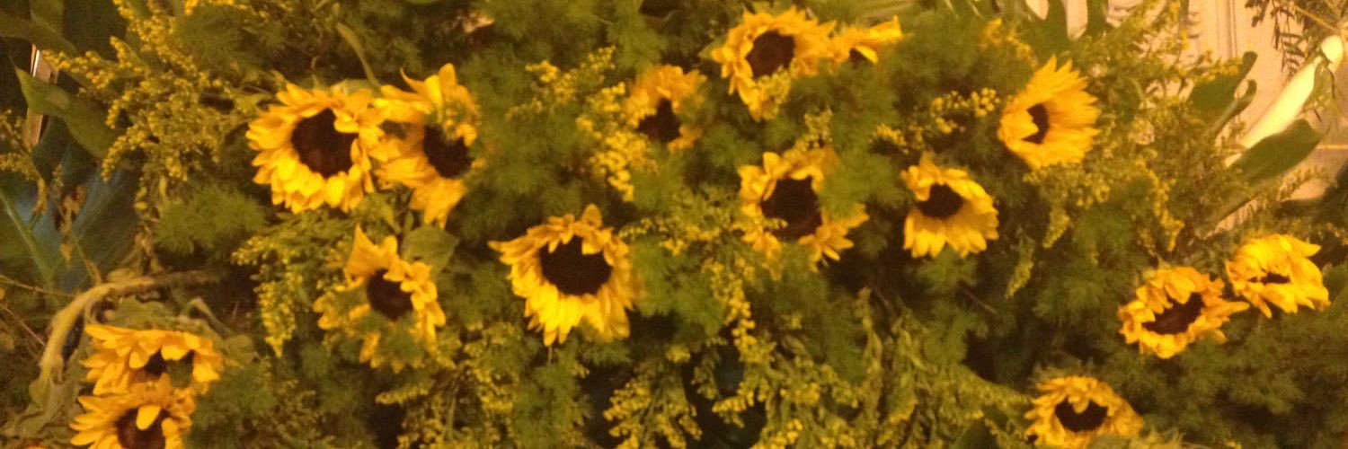 DigitalMBrain's profile banner image