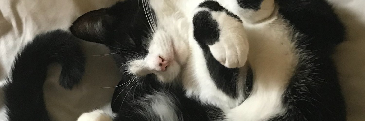 Craig Robathan banner