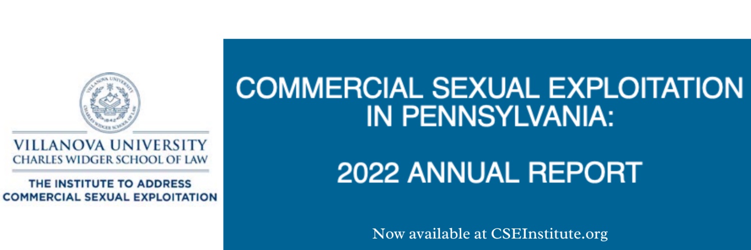 CSE Institute banner