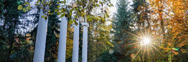 uwcse Profile Banner