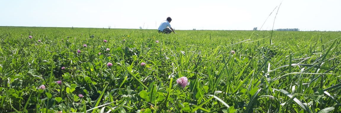 Gentos Argentina banner
