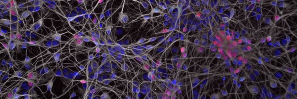 jtchieu Profile Banner