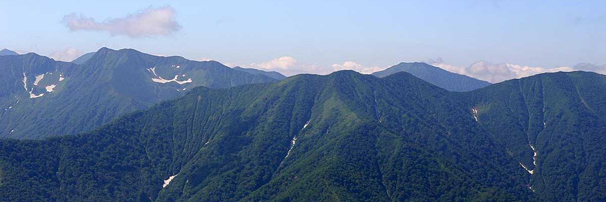 huntforwildlife's profile banner image