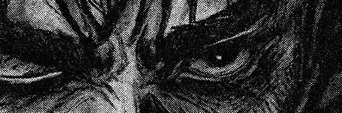 lusongg's profile banner image