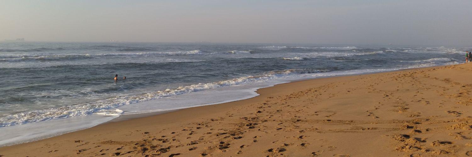 Dave McDuling banner