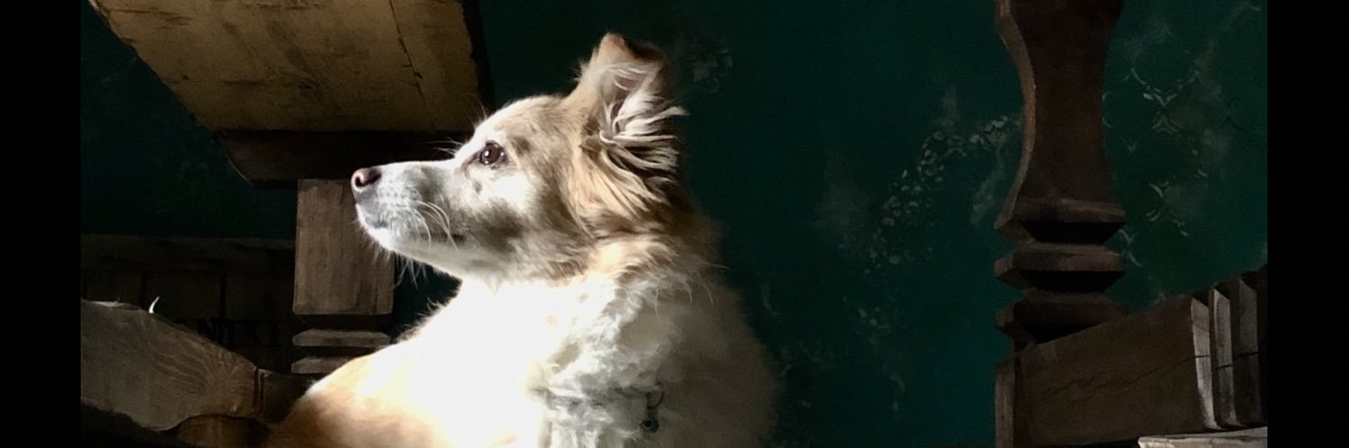 Costas_A_'s profile banner image