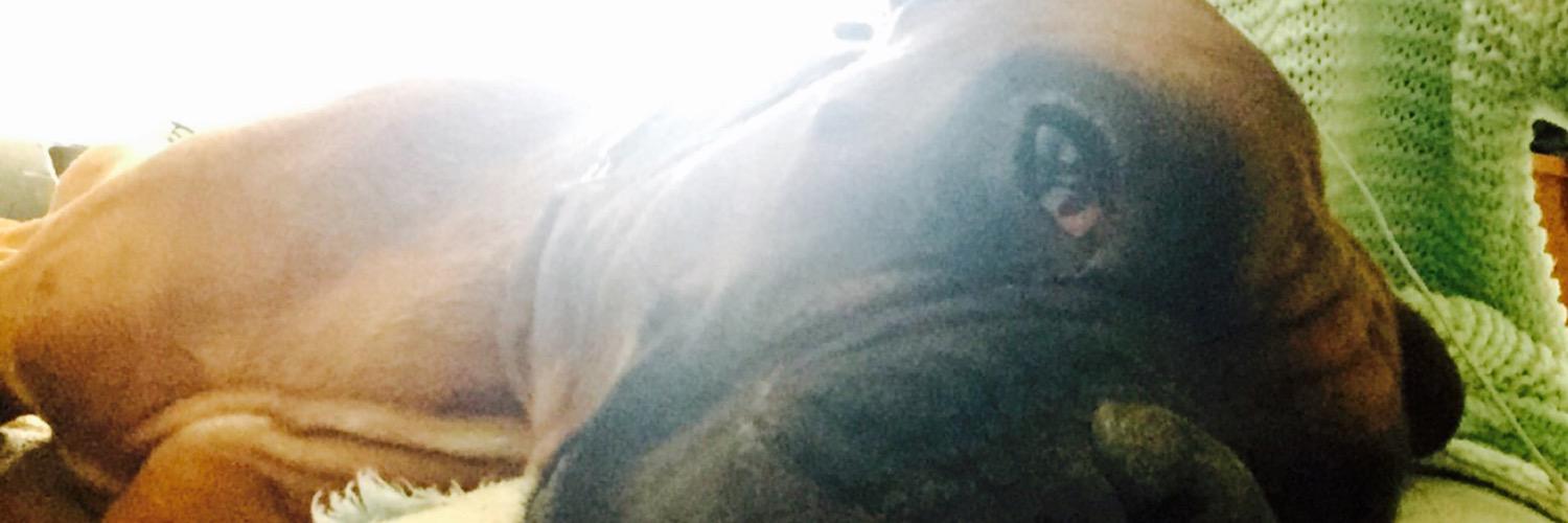 juditrodriguezd's profile banner image