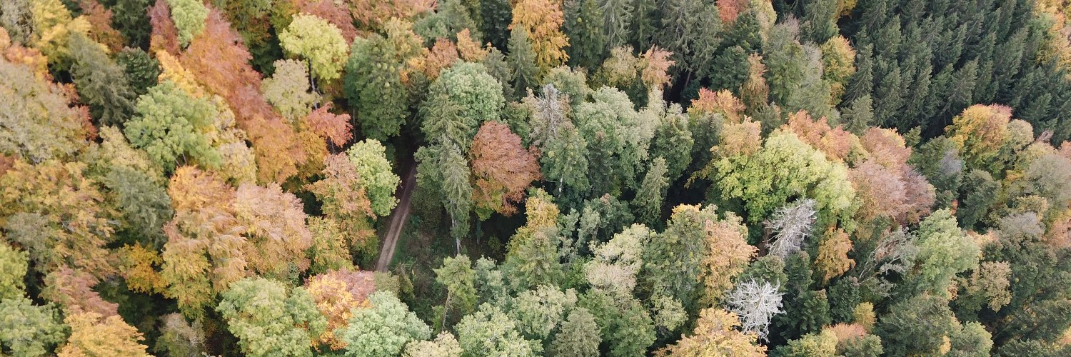 Isabelle Helfenstein banner