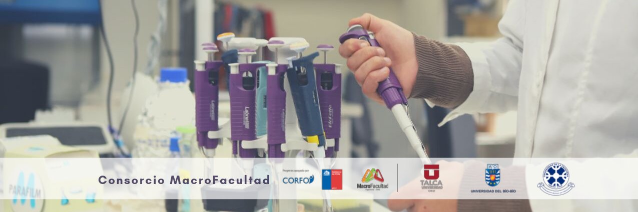 MacroFacultad's profile banner image