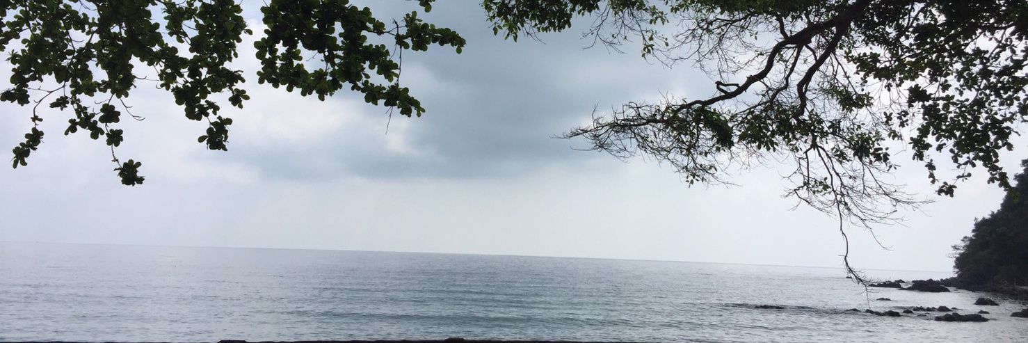 0630Mangdoo's profile banner image