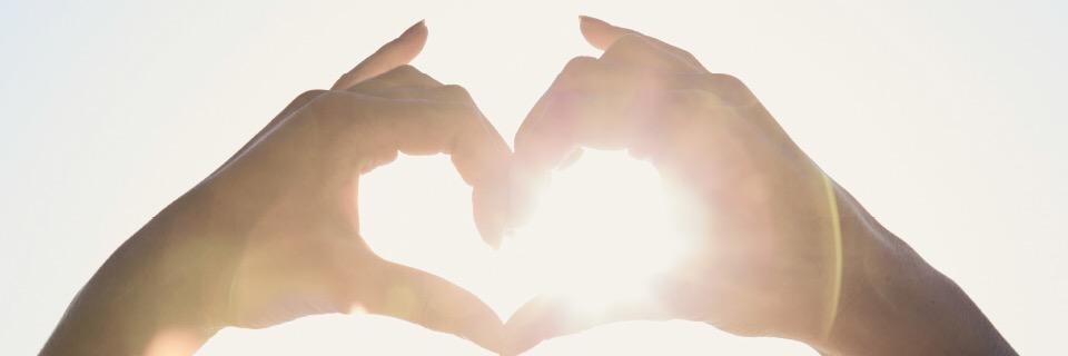 MSayward's profile banner image