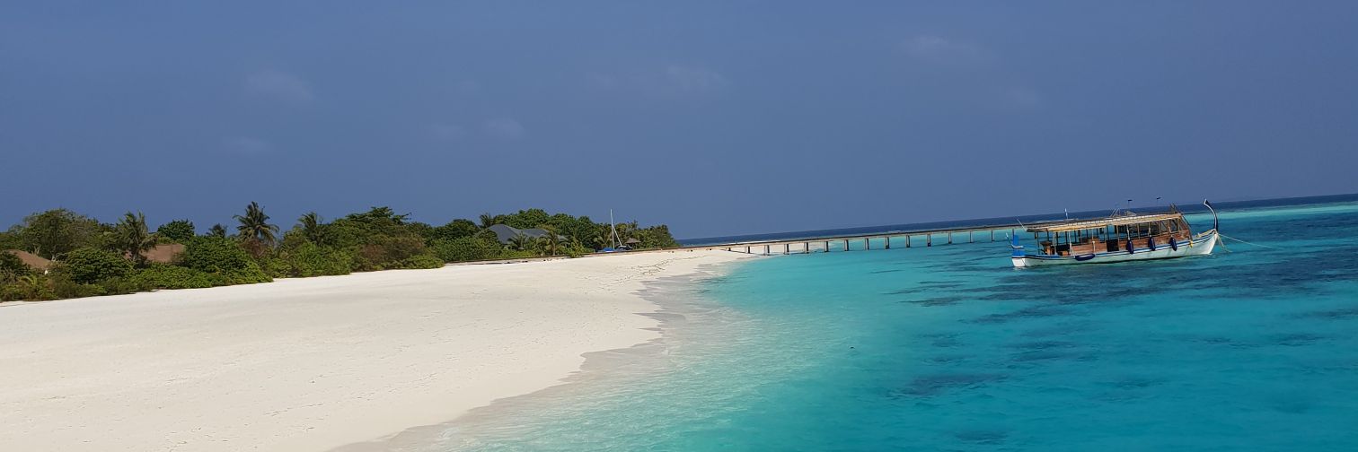 MDibaji's profile banner image