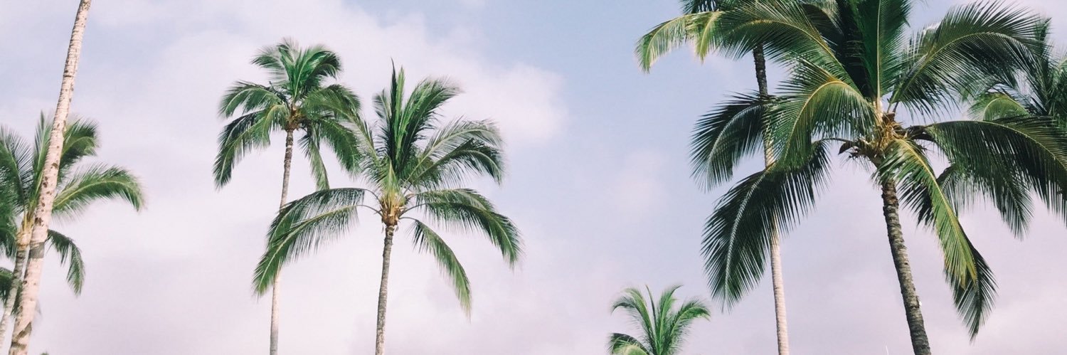 bbjohansson's profile banner image