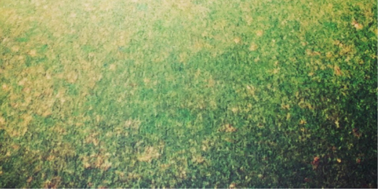 _MB_9's profile banner image
