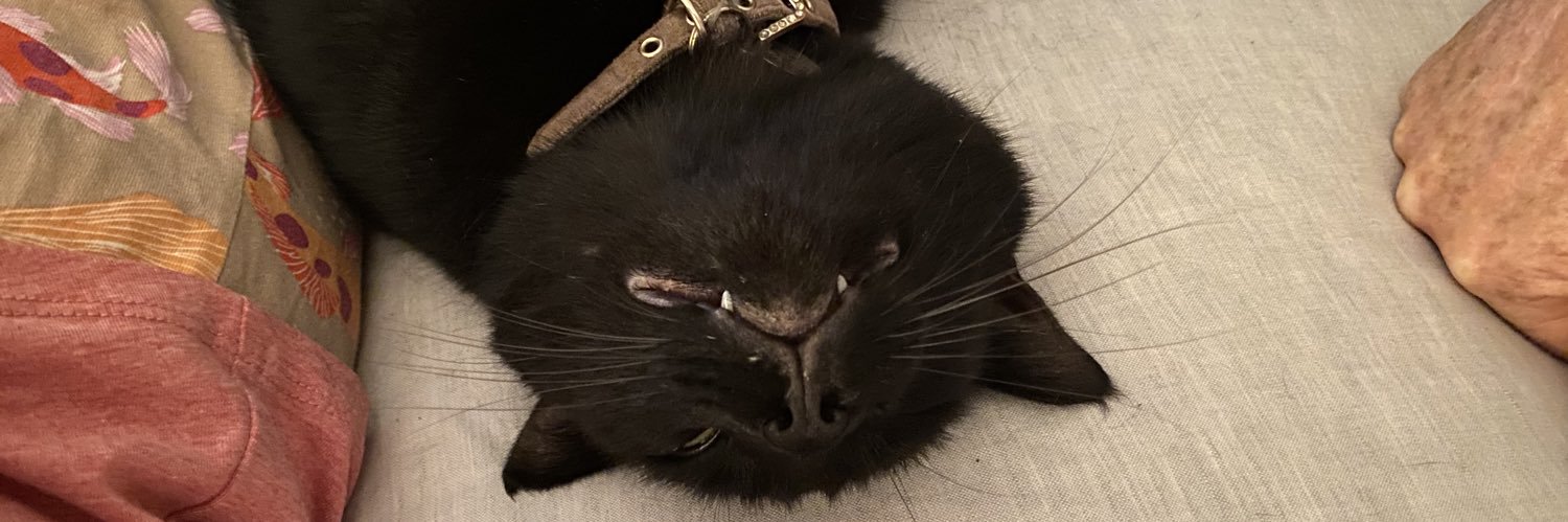 cosmocat42's profile banner image
