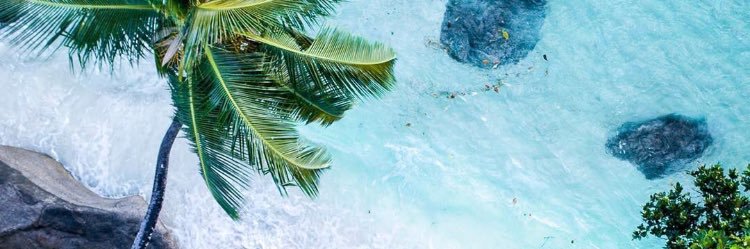 ellmarimaool's profile banner image