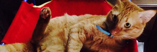 rabarella Profile Banner