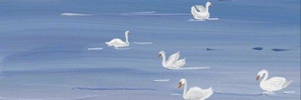 aidamelidaaa's profile banner image