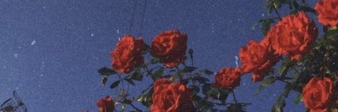 LnaUnbroken's profile banner image