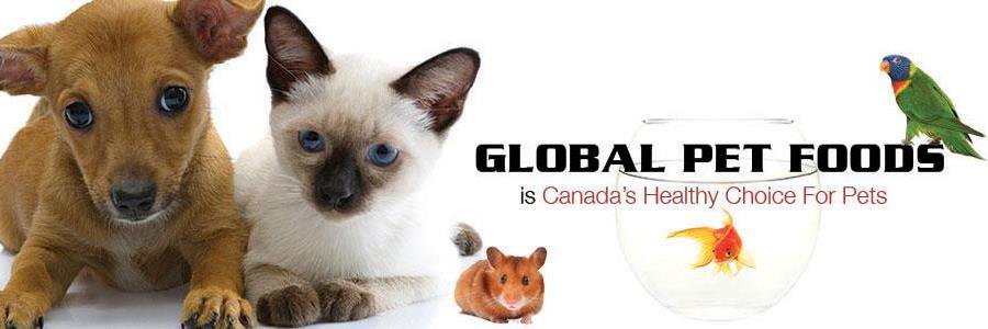GPFGeorgetown's profile banner image