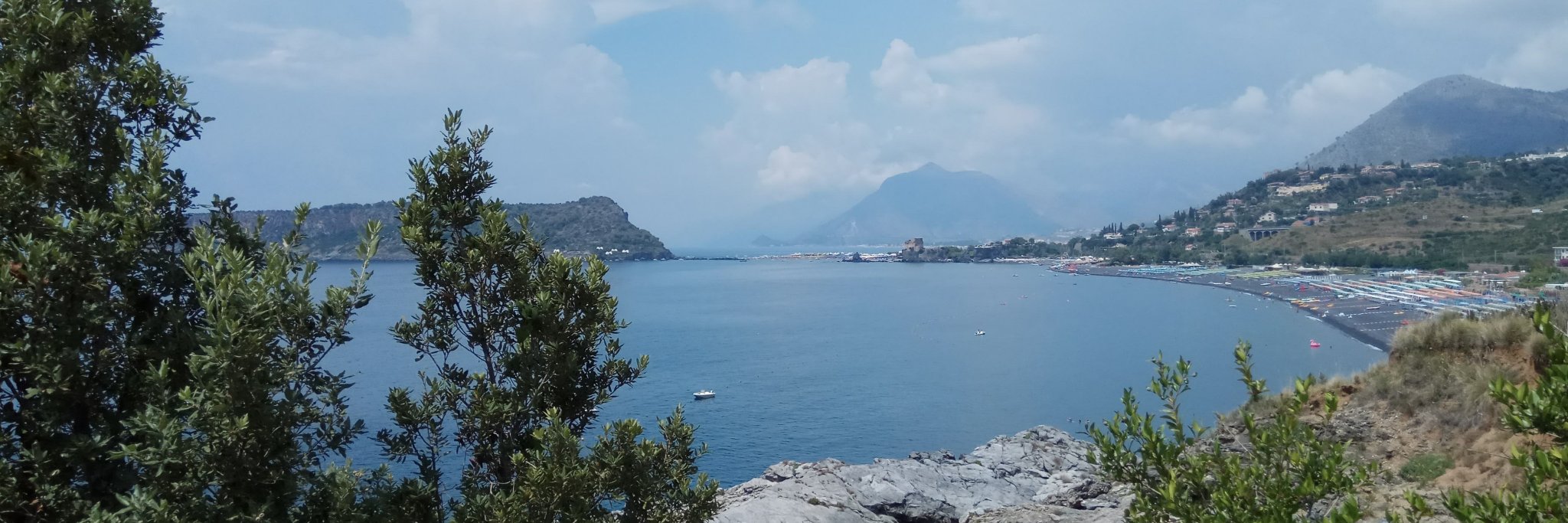 robertacilento's profile banner image
