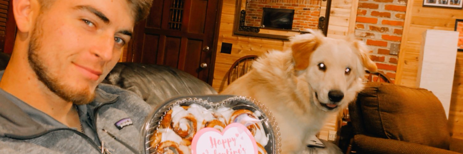 nat_sully's profile banner image