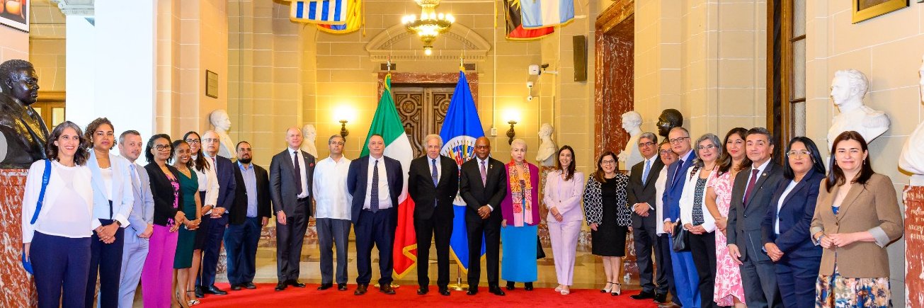 Italian Observer OAS banner