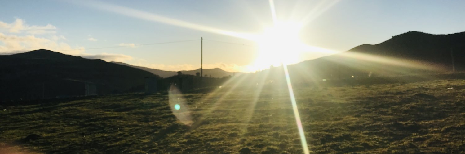 SheRock_s's profile banner image