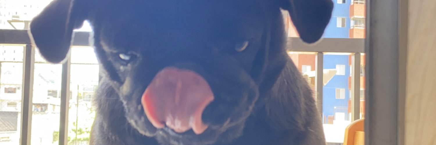 absoluthais's profile banner image
