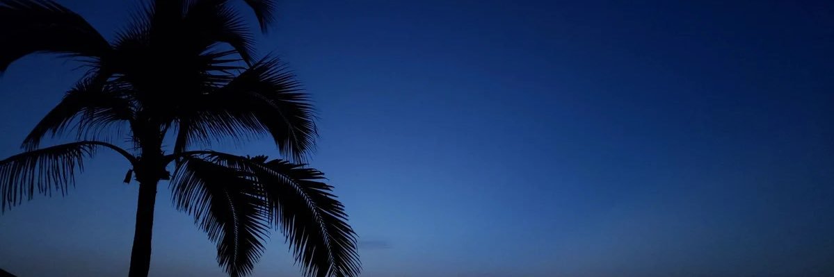 wwxvvw's profile banner image