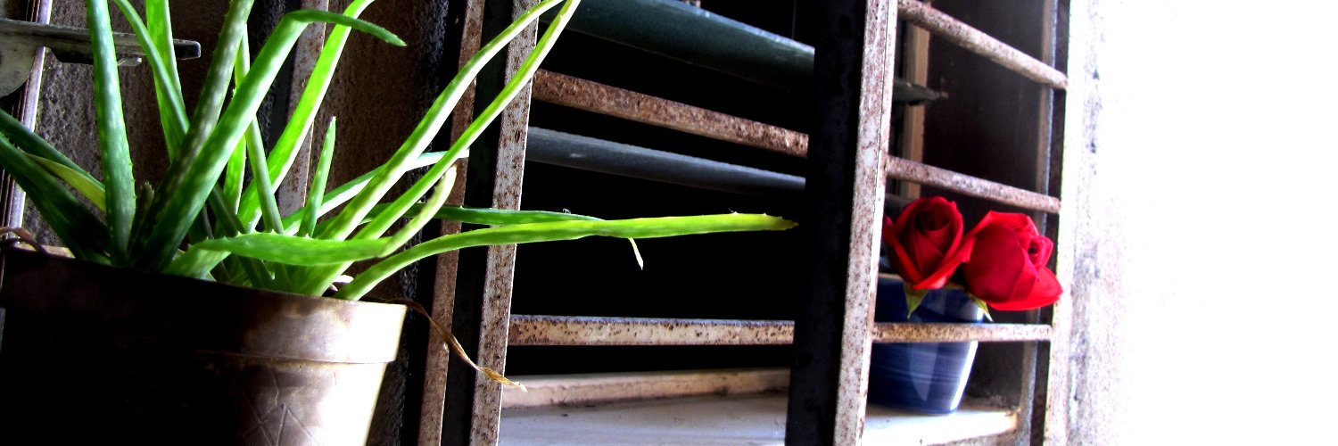 Victoria Andrade banner