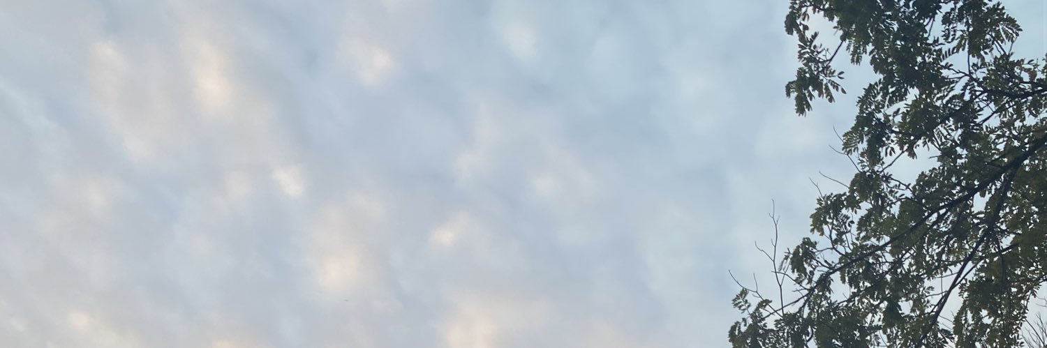 momo ✶ banner
