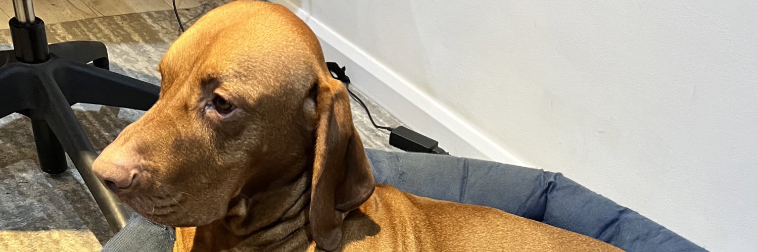 rowles 🇺🇦 banner