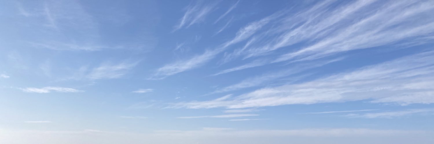 FlankerCat's profile banner image