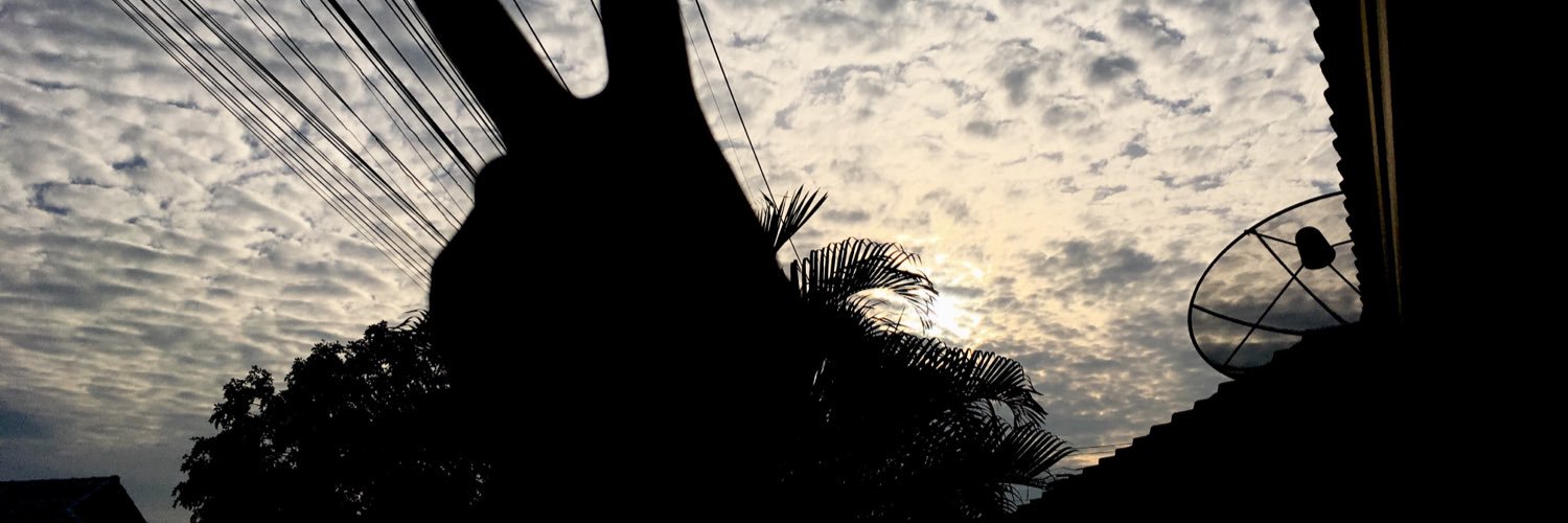 akermaner's profile banner image