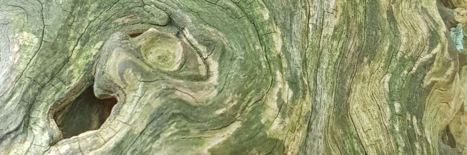 mellyT71's profile banner image