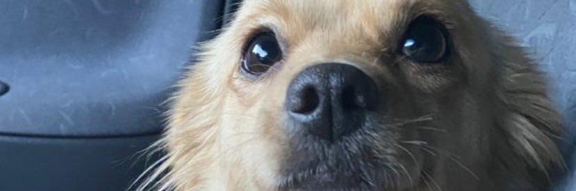 CYllein's profile banner image