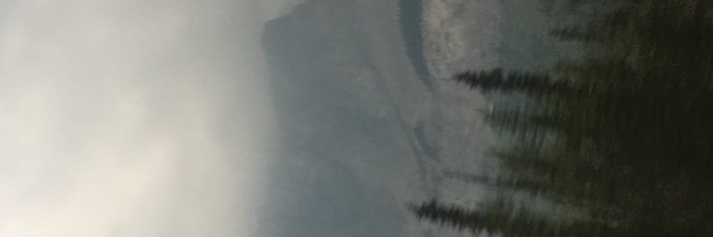 NicoleBosko's profile banner image