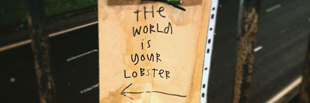 velvet chunder banner