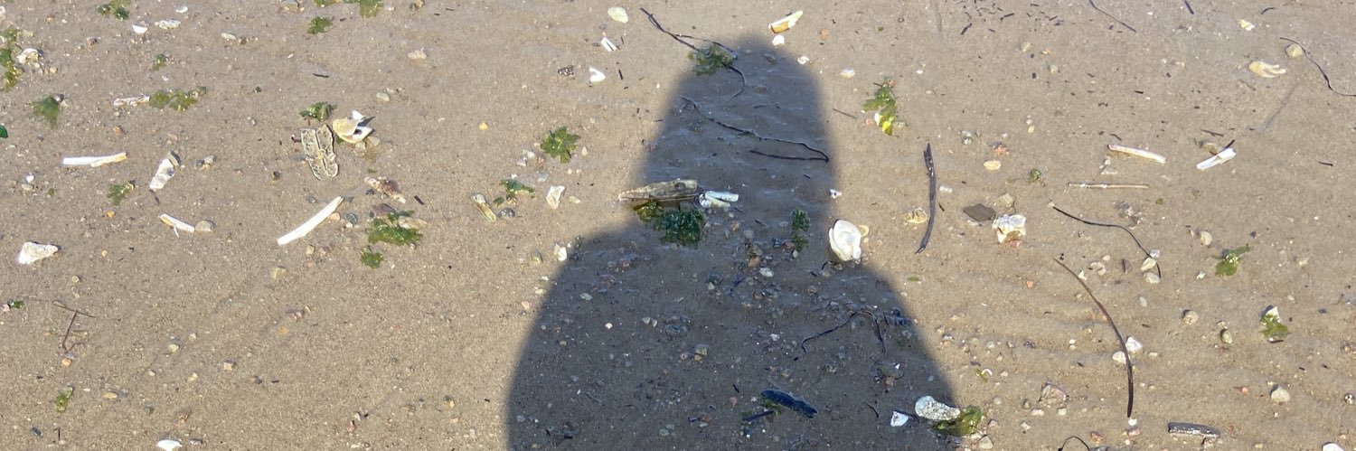 LindaLearning banner