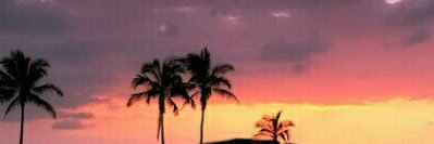 merewotring's profile banner image