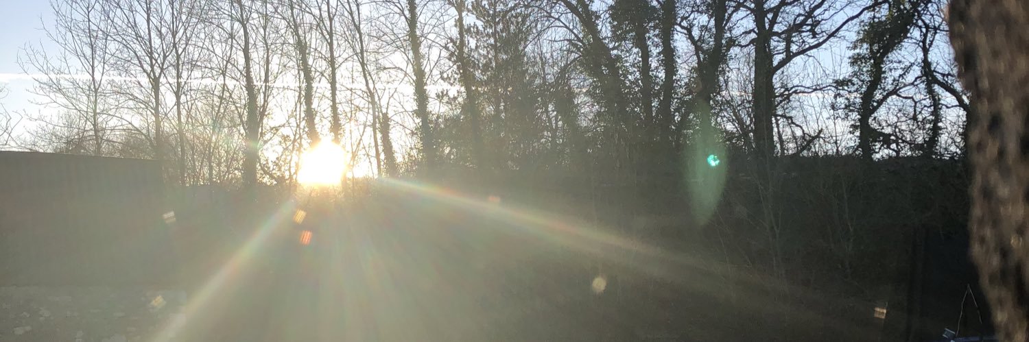 Patricia Acensi Ferré banner