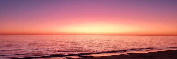 alyce_martin Profile Banner