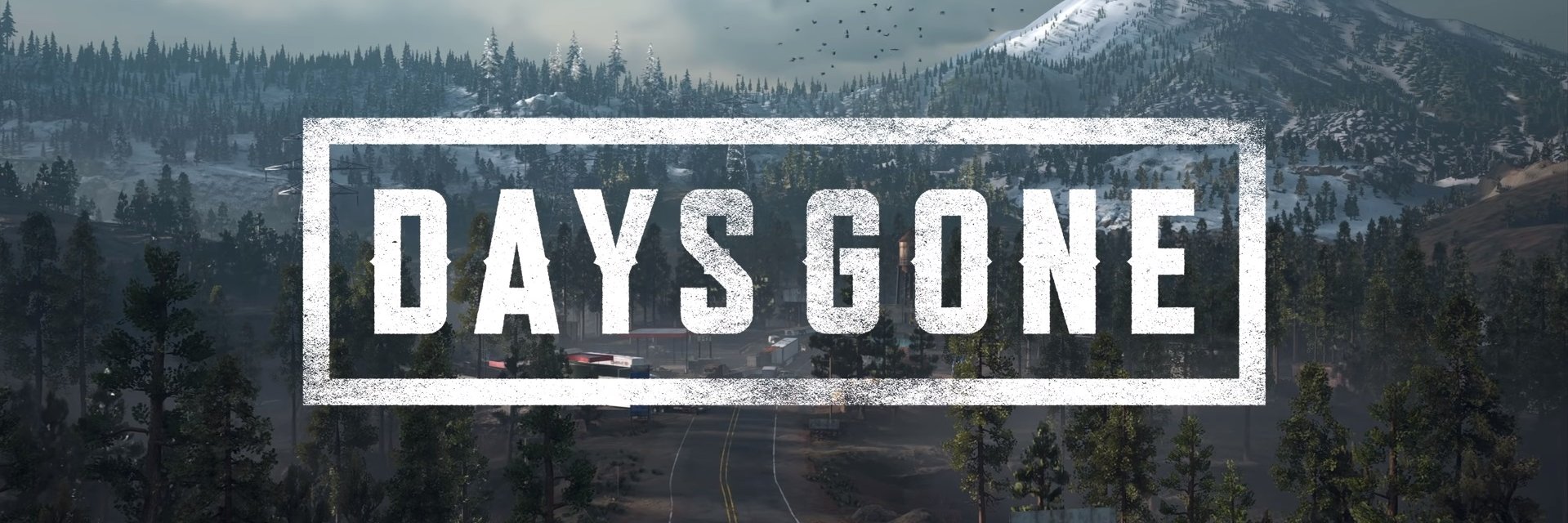 NickZipps's profile banner image