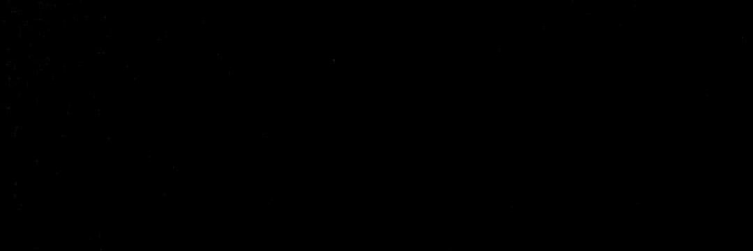 larissahelmann's profile banner image