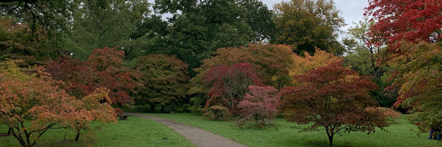 CMCStanley's profile banner image