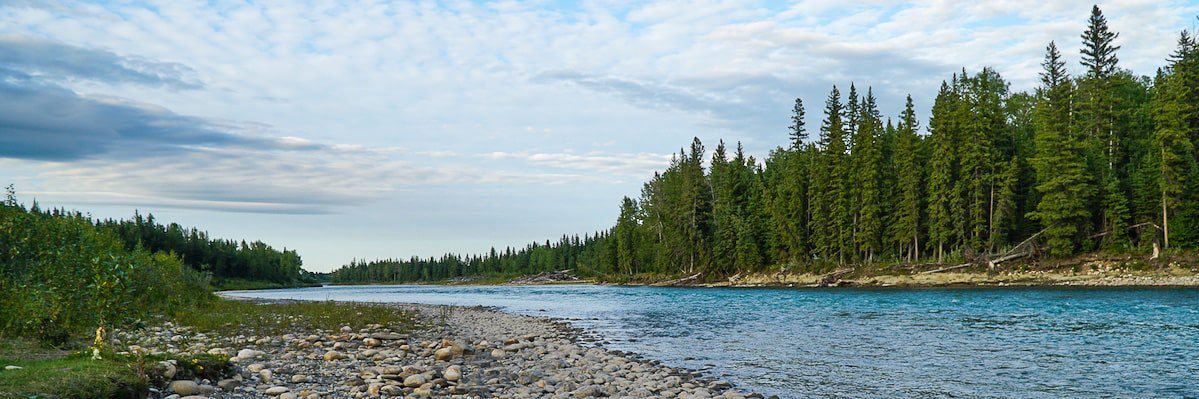 TimberlineLocal's profile banner image