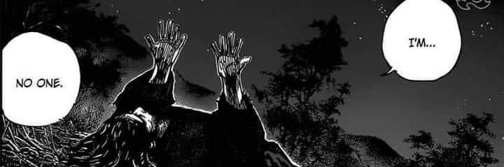 Zed banner
